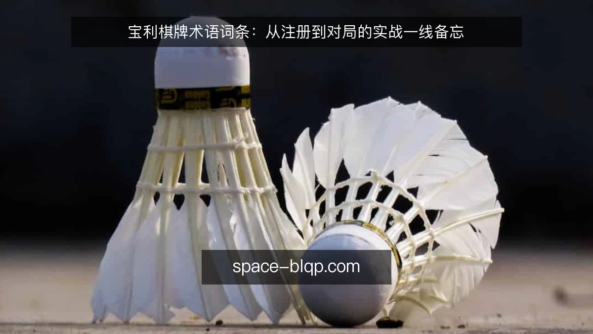宝利棋牌术语词条：从注册到对局的实战一线备忘